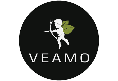 Logo_Veamo_TOADD